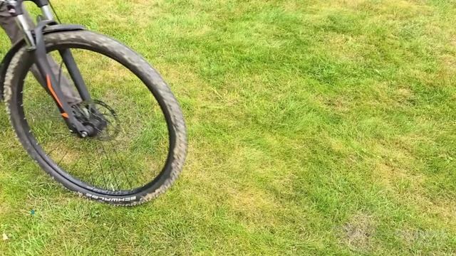 перезалив сливки шоу