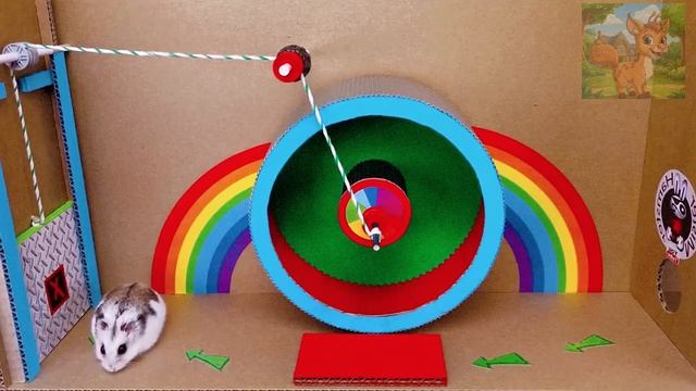 Домашние хомячки убегают из лабиринта у бассейна!У маленького хомячка кружится голова смотреть онлайн