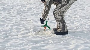 VID_20260118_125441_148