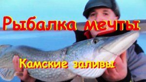 Первый лёд Камские заливы