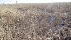 Про Деревню