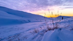 Как мы искали солнце.