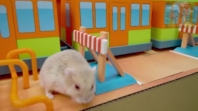 Когда начинается паркур в метро, Кокура становится храбрым смотреть онлайн