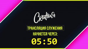 Скиния Online. Live