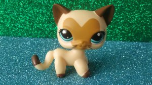 LPS: Вся моя коллекция игрушек Littlest Pet Shop