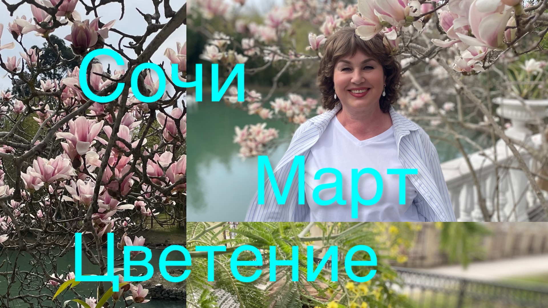Сочи! 🌸 Магнолии, мимозы и чарующий парк — всё в этом видео смотреть онлайн