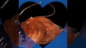 Морской чёрт