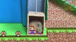 Вперед, вперед, вперед, маленький хомячок и Марио объединяются, чтобы преодолеть трудности