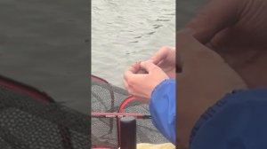 Небольшой влог о рыболовных соревнованиях по фидеру