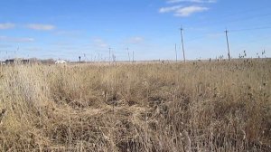 Про Деревню