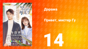 Привет, мистер Гу 1 сезон 14 серия