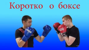 Как проходят тренировки у боксеров разных груп