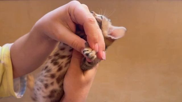 Мальчик 1 смотреть онлайн