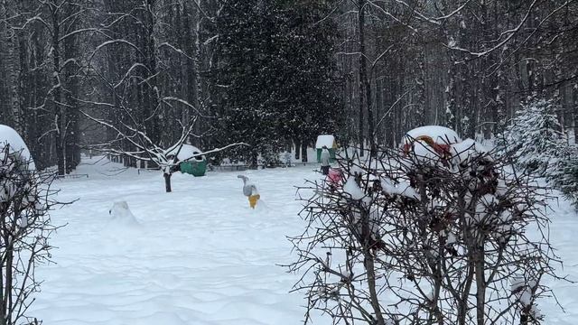 Старый Новый Год 2026