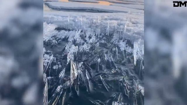 Редчайшие кадры, лучшая подборка онлайн. Видео из интернета. смотреть онлайн