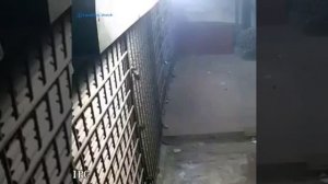 Мне стало очень интересно, что находится за этой решеткой.