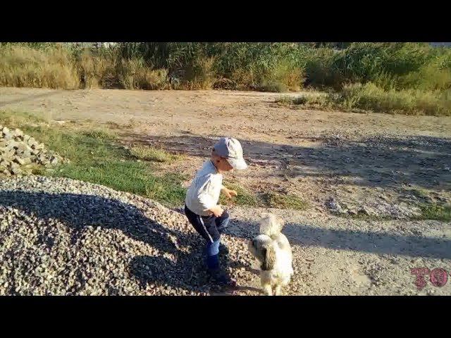 ОСЕННИЕ ПРОГУЛКИ С ВНУКОМ ПО САДУ, ВОСПИТАНИЕ ПОДРАСТАЮЩЕГО ПОКОЛЕНИЯ смотреть онлайн