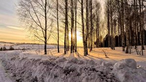 Ныряние в купели 17 января 2026г