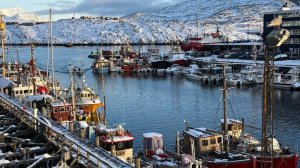 В России предрекли, что Европа сдастся, а США получат Гренландию