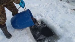 Запуск 100 кг. Форели Водопад