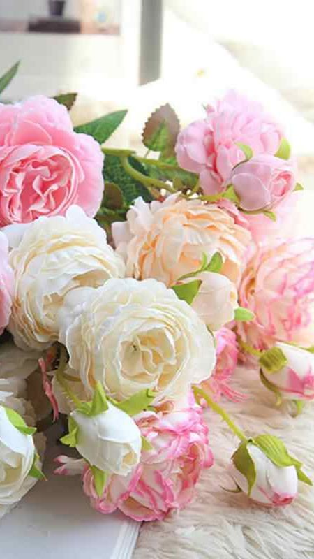 Розы на Южном Урале. смотреть онлайн