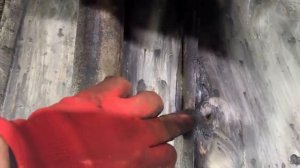 ВЕЧНЫЙ АНТИКОР спустя 5,5 лет.mp4