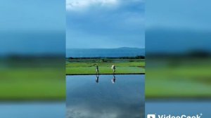 "Формат моего канала: что, зачем и почему?"