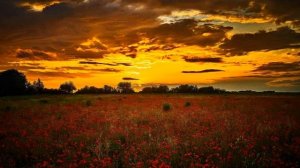 Я сегодня до зари встану _За того парня_ Кавер _ Минусовка _ Фото-слайд-шоу. 18.01.2026.