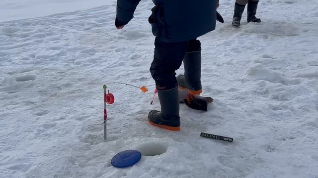 ОБЗОР смотреть онлайн