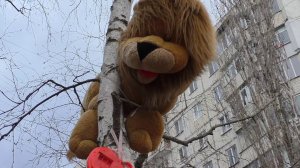 Чудо родители - счастливые дети