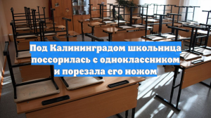 Под Калининградом школьница поссорилась с одноклассником и порезала его ножом