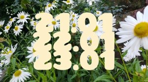 Лунный календарь для цветоводов с 19.01-25.01.26г.