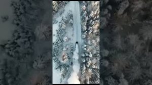 Интересные моменты...✨💫🌟☀️🌞☺️😉🥹😇⚜️🫣✴️💰🧐🕵️✨🌟💫👑