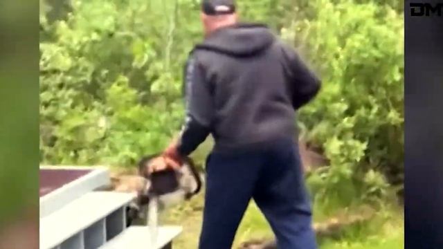 Редчайшие моменты: лучшая подборка видео. Видео из интернета. смотреть онлайн