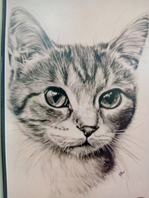 арабские танцульки