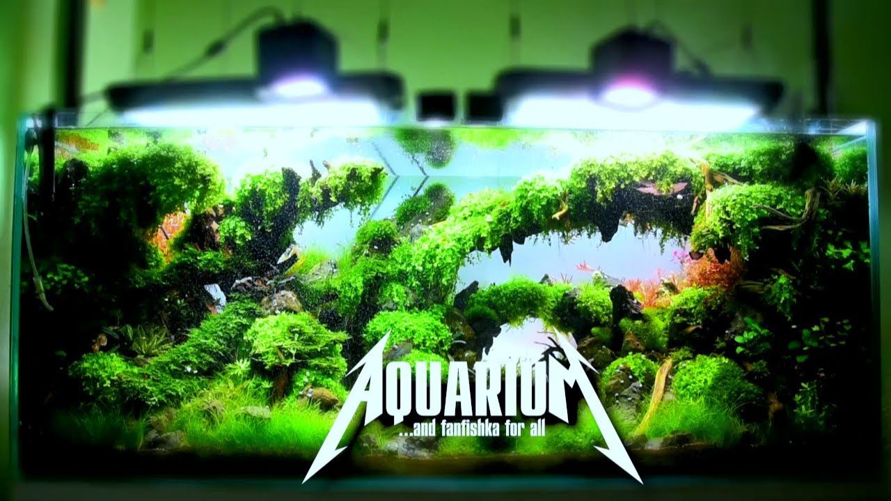 Недорогой и профессиональный светильник для аквариума смотреть онлайн