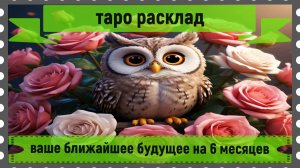 Таро расклад - ваше ближайшее будущее на 6 месяцев