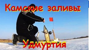Удмуртия  Камские заливы,  первый лед, щука