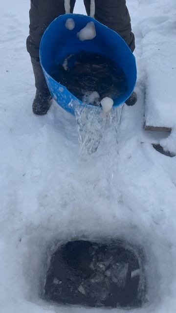 Запуск форели смотреть онлайн