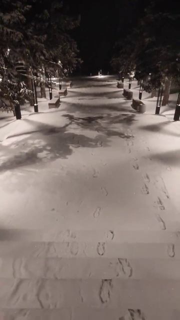 ну все пипец ,зима настала🤬 смотреть онлайн