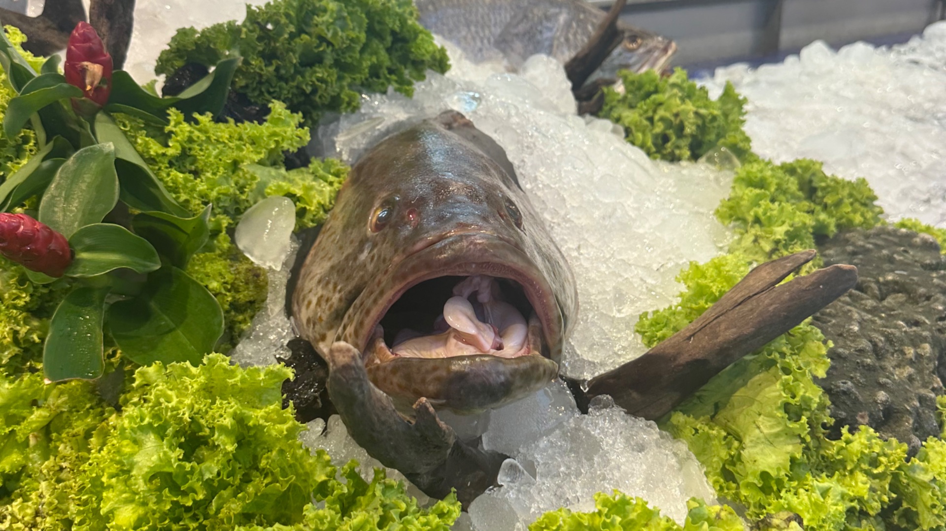 РЫБНЫЕ РЫНКИ НА ПХУКЕТЕ 2026 / ЭКЗОТИЧЕСКИЕ МОРЕПРОДУКТЫ ТАИЛАНДА смотреть онлайн