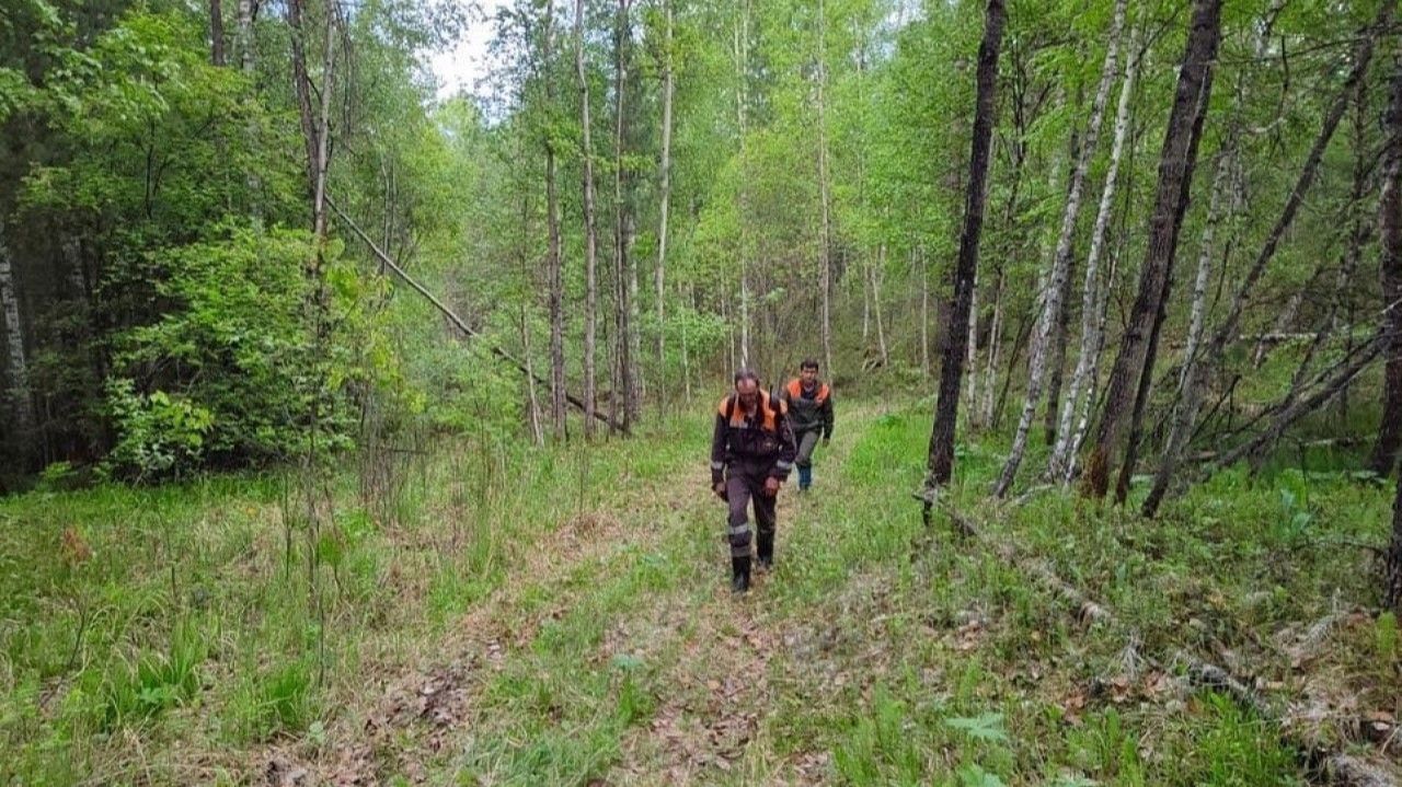 Случаи из РЕАЛЬНОЙ ЖИЗНИ. смотреть онлайн