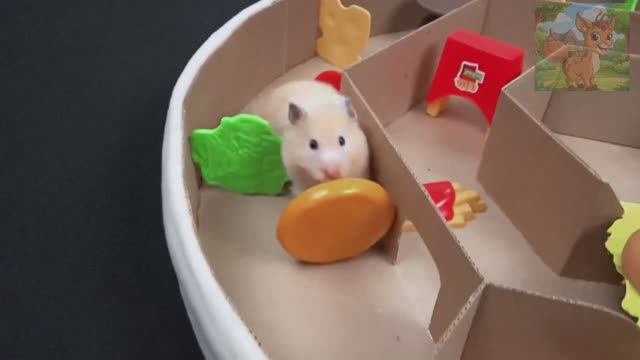 Лабиринт для бургеров, созданный для маленьких хомячков!Стань хомячком в бургере смотреть онлайн