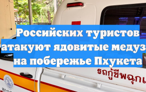 Российских туристов атакуют ядовитые медузы на побережье Пхукета