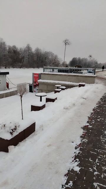 Зима в Бресте 🌲❄️☃️ смотреть онлайн