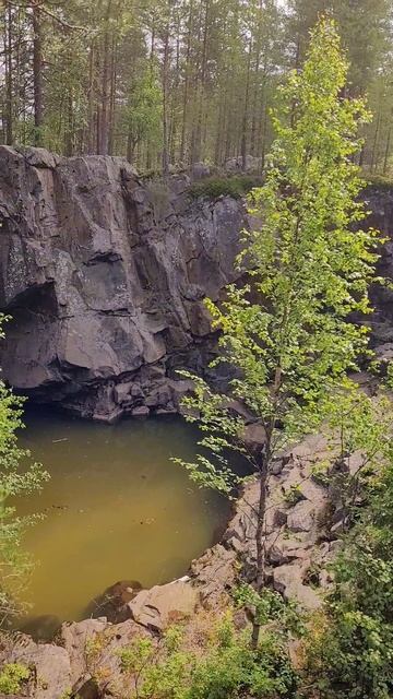 Карелия 2025. Гирвас. Сплав леса. Суна. Июль 2025г (Часть 1) смотреть онлайн