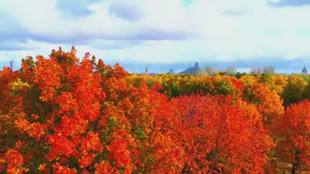МЕЛОДИЯ, КОТОРАЯ ДАРИТ УМИРОТВОРЕНИЕ И ГАРМОНИЮ. ПОМОГАЕТ ПОГРУЗИТЬСЯ В СОН ЗА СЧИТАННЫЕ МИНУТЫ смотреть онлайн