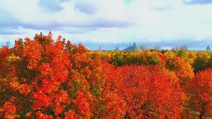 МЕЛОДИЯ, КОТОРАЯ ДАРИТ УМИРОТВОРЕНИЕ И ГАРМОНИЮ. ПОМОГАЕТ ПОГРУЗИТЬСЯ В СОН ЗА СЧИТАННЫЕ МИНУТЫ