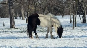 АНАПА. Холодные руки, тёплые кадры🌞 Зимняя прогулка с Индустар-61 ЛЗ // 18 января 2026 🌞 Альбатрос