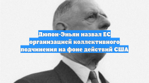 Дюпон-Эньян назвал ЕС организацией коллективного подчинения на фоне действий США